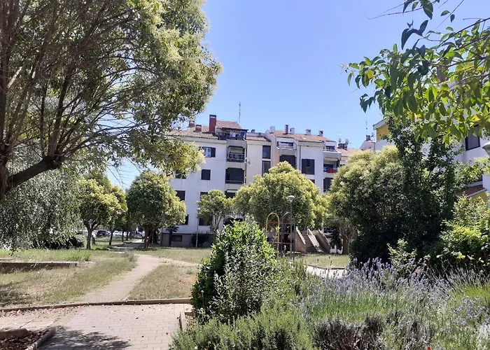 Lila Umag